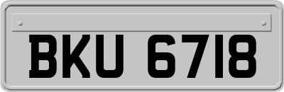 BKU6718