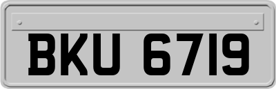 BKU6719