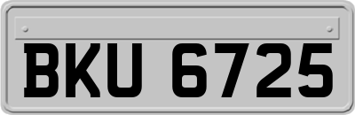 BKU6725