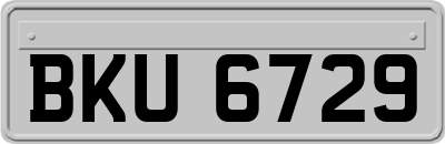 BKU6729