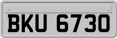 BKU6730
