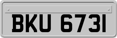 BKU6731