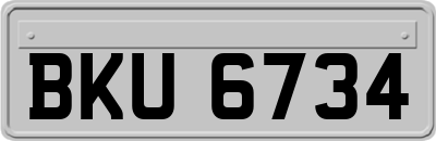 BKU6734