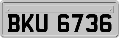 BKU6736