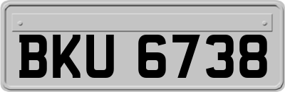 BKU6738