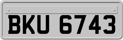 BKU6743