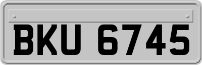 BKU6745