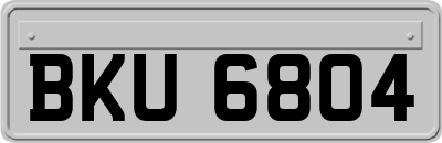 BKU6804