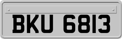 BKU6813