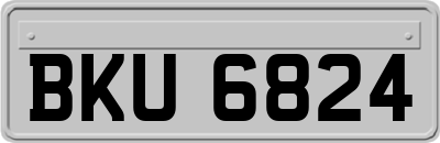 BKU6824