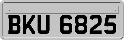 BKU6825