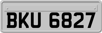 BKU6827