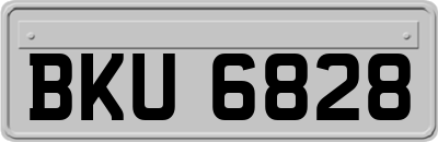 BKU6828