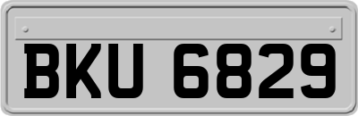 BKU6829