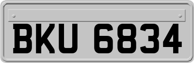 BKU6834