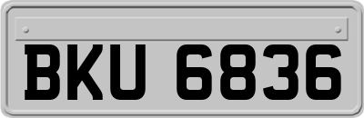 BKU6836