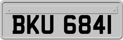 BKU6841