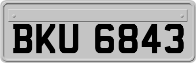 BKU6843