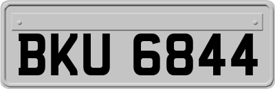 BKU6844