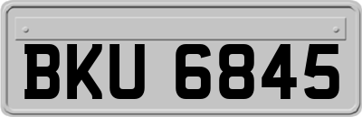 BKU6845