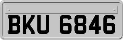 BKU6846