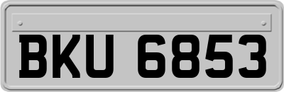 BKU6853