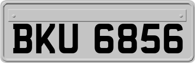 BKU6856