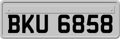 BKU6858