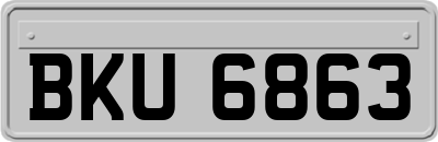 BKU6863
