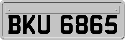 BKU6865