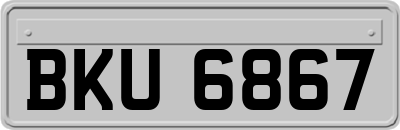 BKU6867
