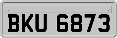BKU6873