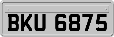 BKU6875