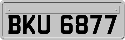 BKU6877