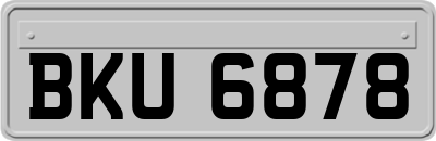BKU6878