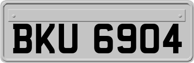 BKU6904
