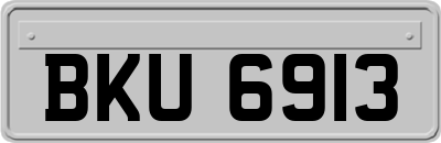 BKU6913