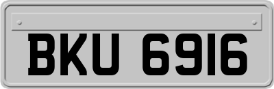BKU6916