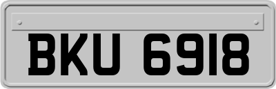BKU6918