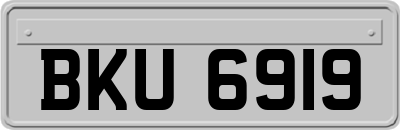 BKU6919