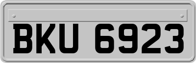 BKU6923