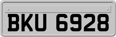 BKU6928