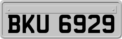 BKU6929