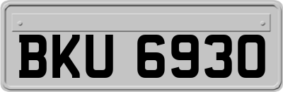 BKU6930