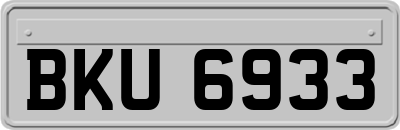 BKU6933