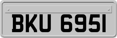 BKU6951
