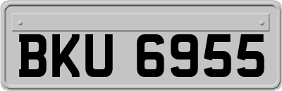 BKU6955