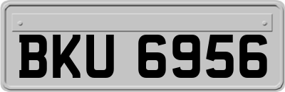 BKU6956