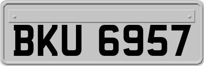 BKU6957