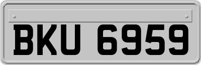 BKU6959